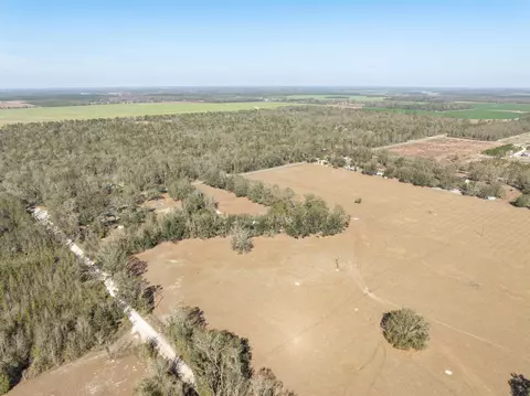 Vacant Donaldson Road, Lee, FL 32059 photo 6