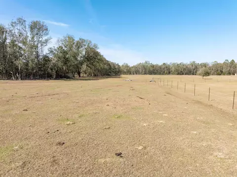 Vacant Donaldson Road, Lee, FL 32059 photo 8