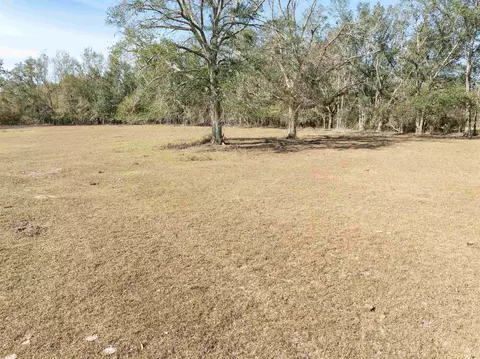 Vacant Donaldson Road, Lee, FL 32059 photo 25