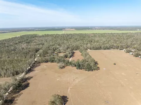 Vacant Donaldson Road, Lee, FL 32059 photo 5