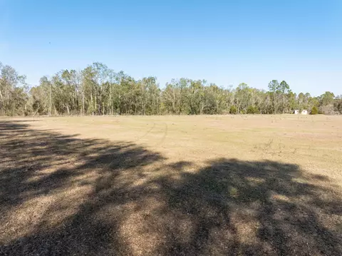 Vacant Donaldson Road, Lee, FL 32059 photo 15