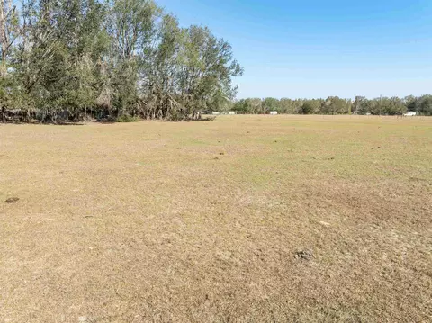 Vacant Donaldson Road, Lee, FL 32059 photo 24