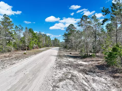 0 N Whitetail Dr, Perry, FL 32348 photo 19