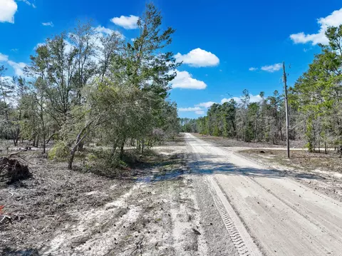 0 N Whitetail Dr, Perry, FL 32348 photo 18