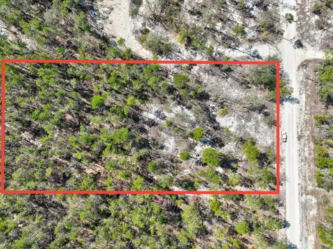 0 N Whitetail Dr, Perry, FL 32348 photo 2