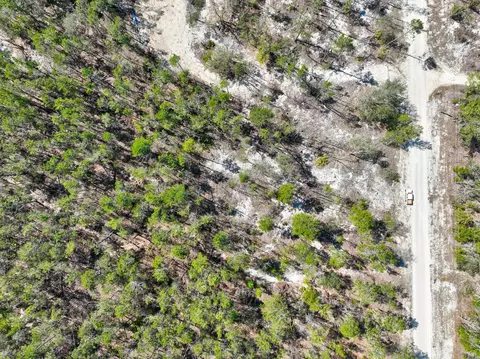 0 N Whitetail Dr, Perry, FL 32348 photo 6