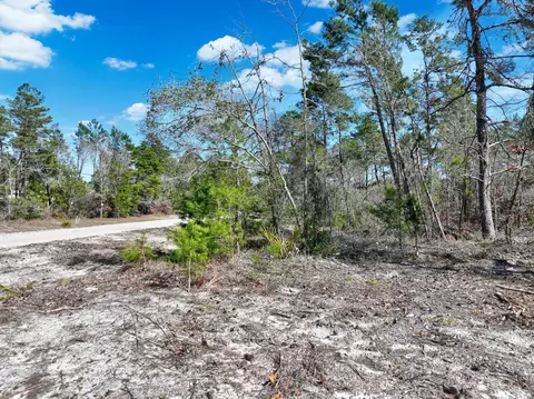 0 N Whitetail Dr, Perry, FL 32348 photo 16