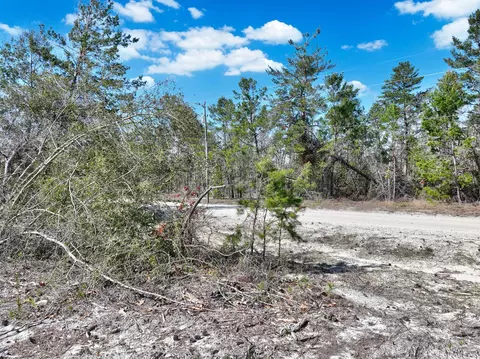0 N Whitetail Dr, Perry, FL 32348 photo 17