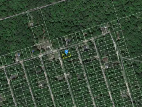 Neeley Road, Crawfordville, FL 32327