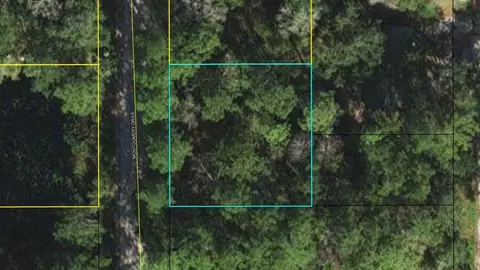 Nnn Montgomery Drive, Crawfordville, FL 32327