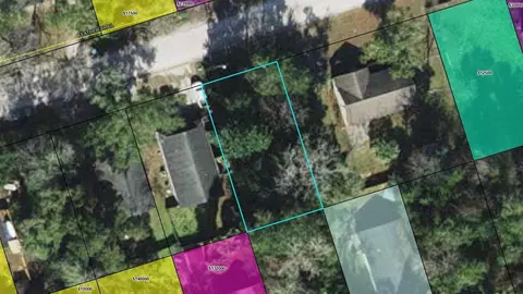 Nnn Feather Trail, Crawfordville, FL 32327