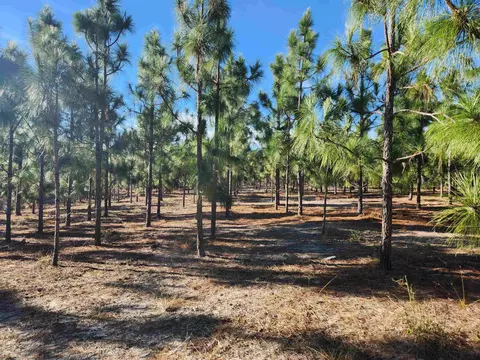 Nn Big Creek Road, Hosford, FL 32334