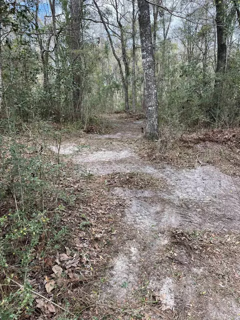 23 Emily Ln, Crawfordville, FL 32327