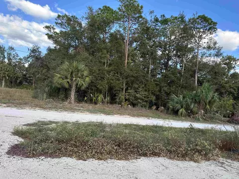 0 NE 51 Hwy, Steinhatchee, FL 32359 photo 13