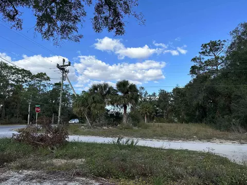 0 NE 51 Hwy, Steinhatchee, FL 32359 photo 11