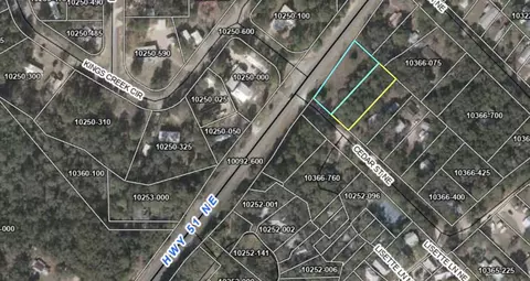 0 NE 51 Hwy, Steinhatchee, FL 32359 photo 6
