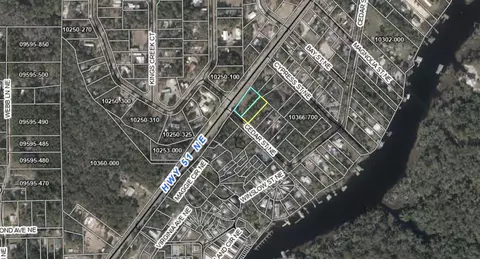 0 NE 51 Hwy, Steinhatchee, FL 32359 photo 8