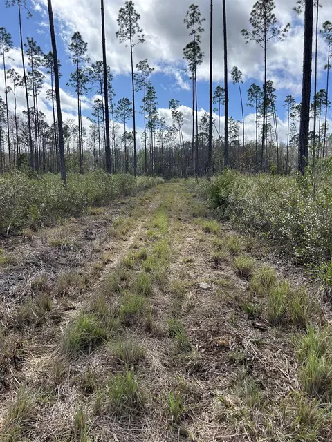 00 SW Oregon Trl, Greenville, FL 32331