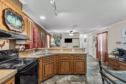 15940 E Royal Oak Dr, Perry, FL 32348 photo 2