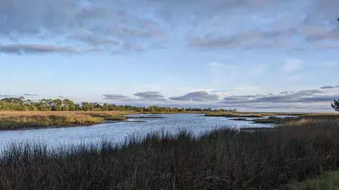 lot12 Carrol Dr, Crawfordville, FL 32327