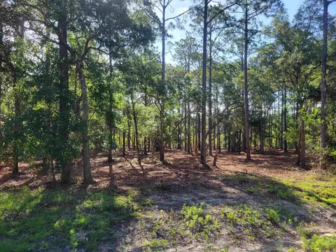 Lot 17 Striffler Street, Ochlockonee Bay, FL 32346
