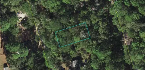 13 Renegade Rd, Crawfordville, FL 32327