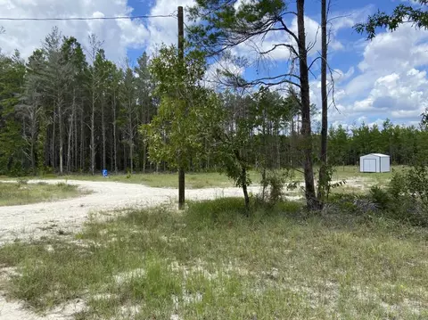1405 Oak Pond Ln, Steinhatchee, FL 32359 photo 5