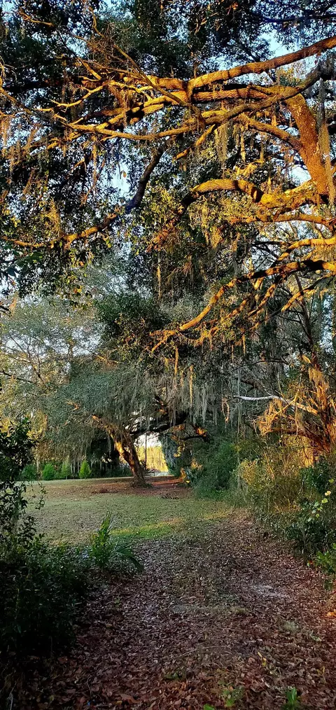 4236 Wash Davis Rd, Perry, FL 32347 photo 2
