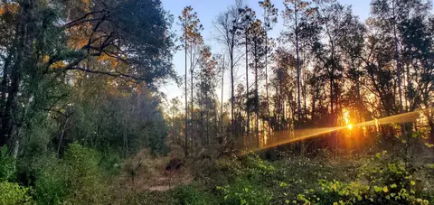 4236 Wash Davis Rd, Perry, FL 32347 photo 3
