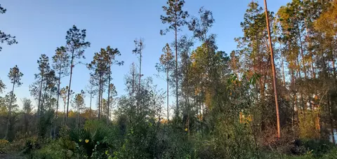 4236 Wash Davis Rd, Perry, FL 32347 photo 6