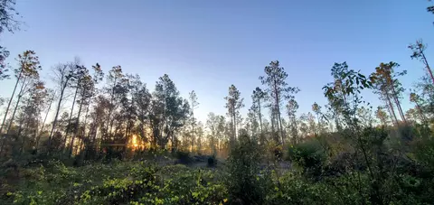 4236 Wash Davis Rd, Perry, FL 32347 photo 5