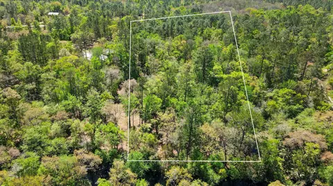17600 Aucilla River Estates Rd, Lamont, FL 32336