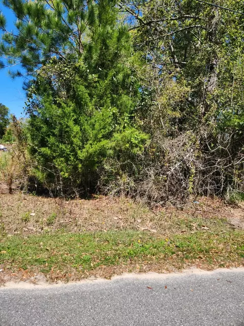 Nn Camelia Street, Bristol, FL 32321