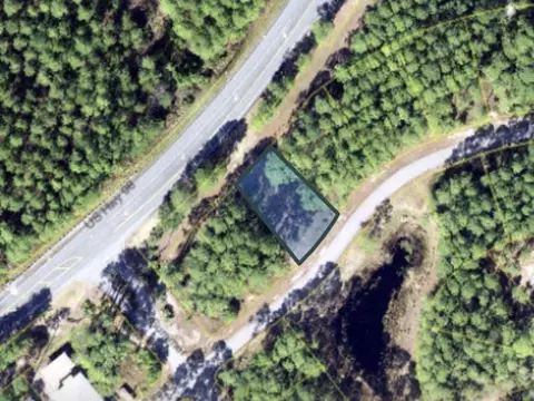 3461 Fireflly Cir, Sopchoppy, FL 32358