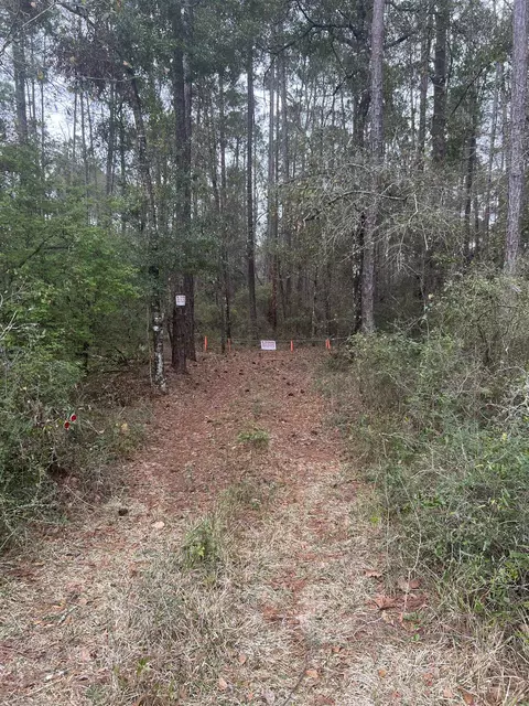 1099 Arran Rd, Crawfordville, FL 32327