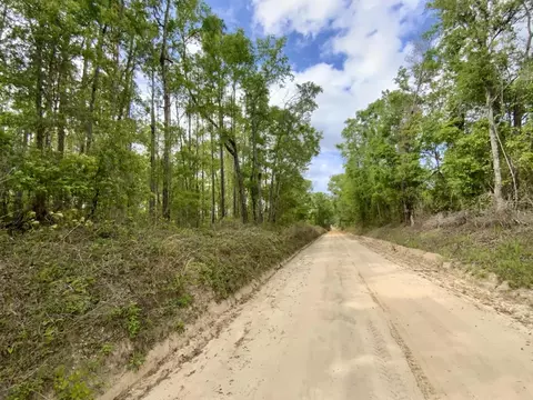 Vacant NE Raspberry Way, Pinetta Madison County, FL 32350