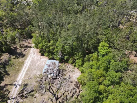 8548 Beach Rd, Perry, FL 32348 photo 4