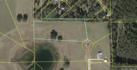 0 NW Appaloosa Way, Madison, FL 32340