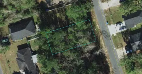 Nnn Ted Lott Lane, Crawfordville, FL 32327