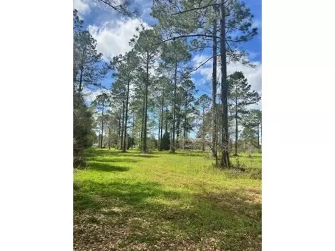1360 Dogwood Dr, Havana, FL 32333
