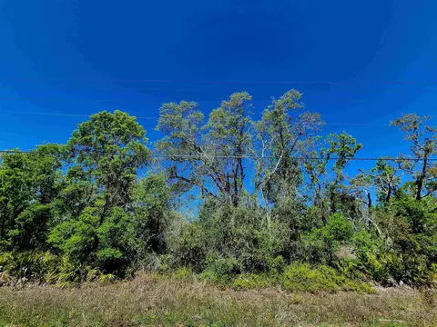lot85 Seameadows Dr, Perry, FL 32348
