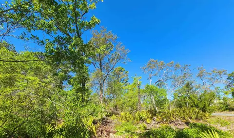 lot85 Seameadows Dr, Perry, FL 32348 photo 6