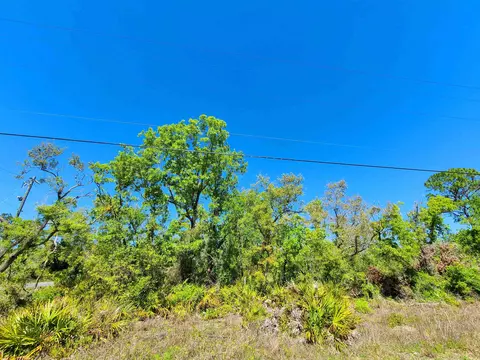 lot85 Seameadows Dr, Perry, FL 32348 photo 2