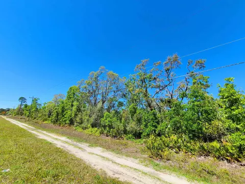 lot85 Seameadows Dr, Perry, FL 32348 photo 8