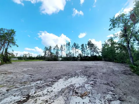2809 Sea Meadows Rd, Perry, FL 32348 photo 2