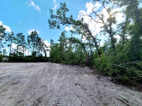2809 Sea Meadows Rd, Perry, FL 32348 photo 7
