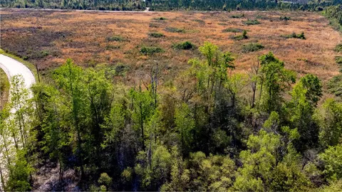 Salt South Road, Lamont, FL 32336