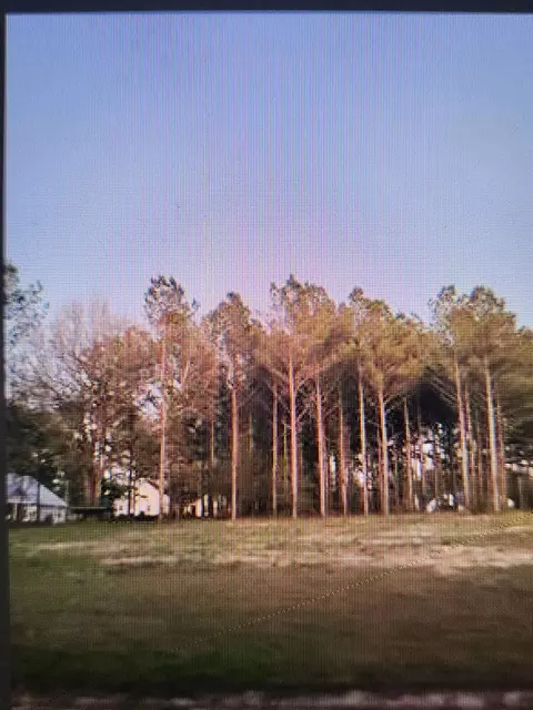 Nn Yaupon Court, Monticello, FL 32344