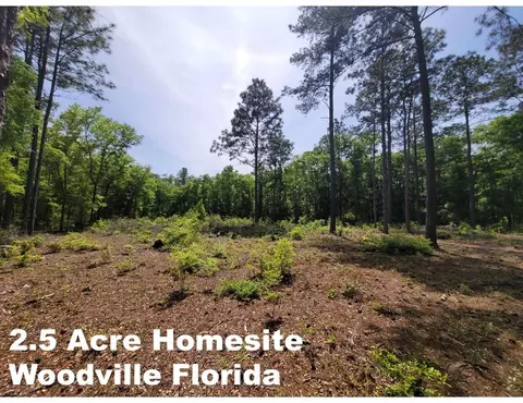 Tract E Lutterloh Road, Woodville, FL 32305