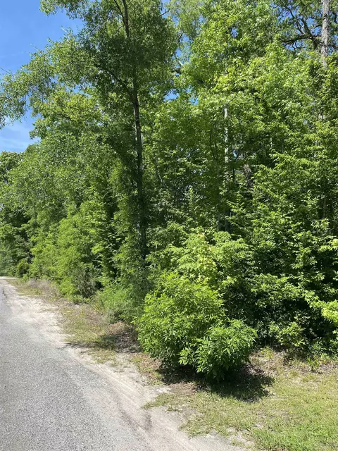 23 Lee St, Crawfordville, FL 32327